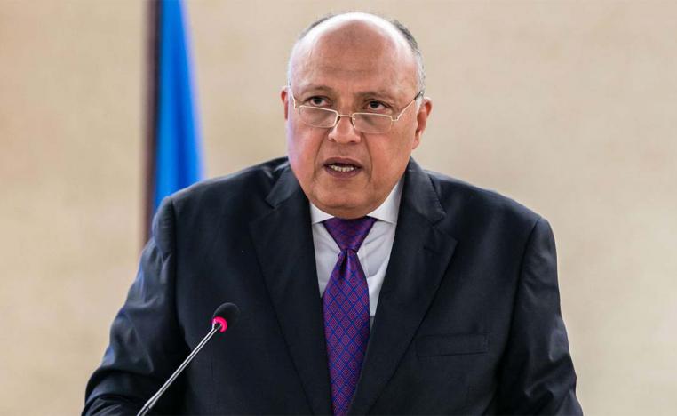 Egypt's foreign minister Sameh Shoukry 