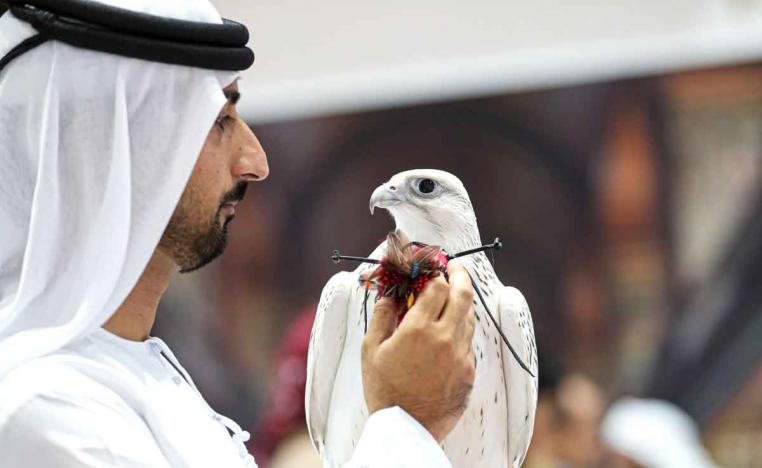 التصور النهائي
