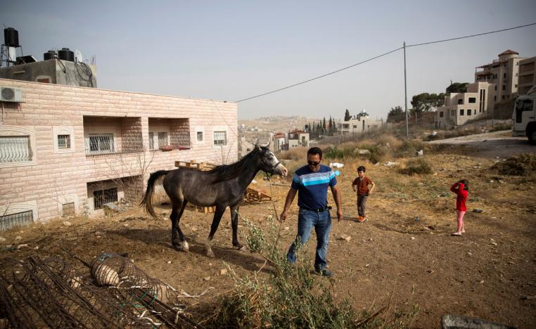 Ismail Obeideh walks with his horse near his home in the Palestinian village of Sur Baher