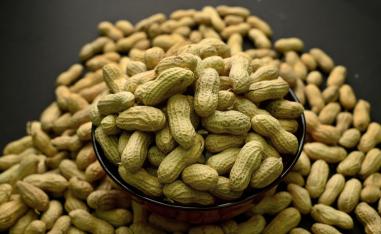 الفول السوداني