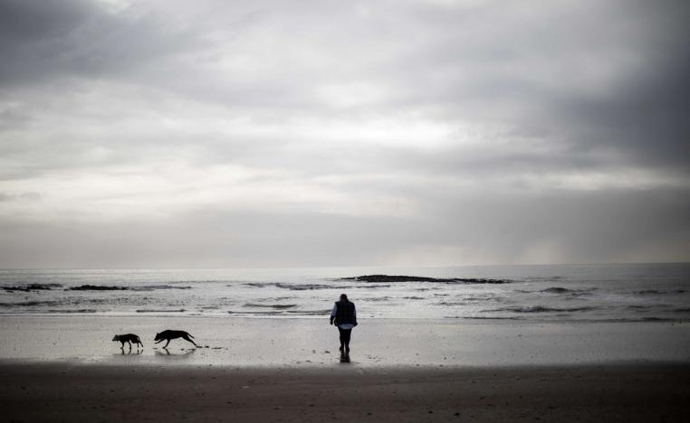 سيدة تمشي مع كلابها على الشاطئ في أستراليا 