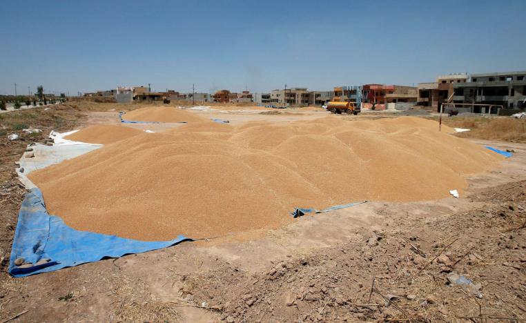 Wheat grain are seen near farmer's houses, in al-Hamdaniya, near Mosul