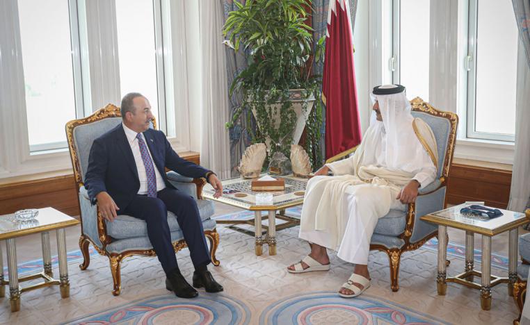 أمير قطر (يمين) في لقاء مع وزير الخارجية التركي