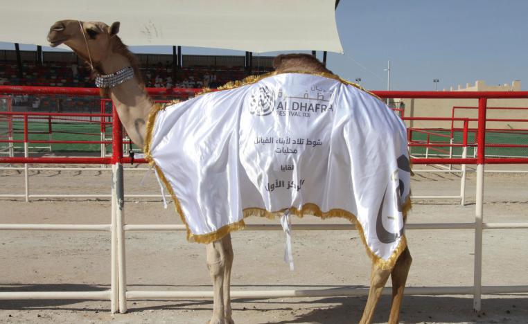 مهرجان الظفرة
