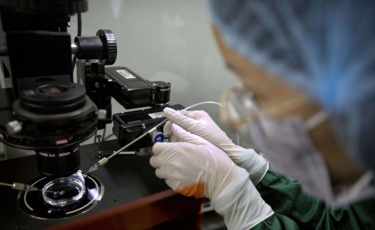 العلاج الجيني