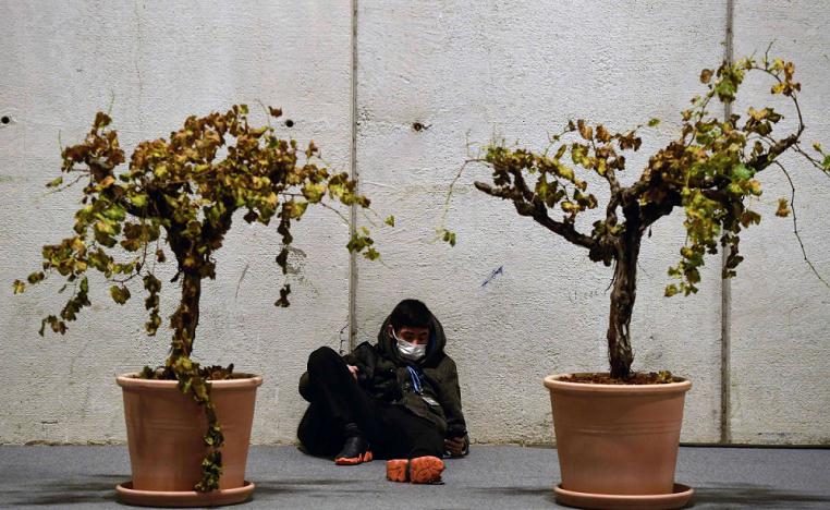 مشارك في قمة مدريد للمناخ يجلس بين نبتتين