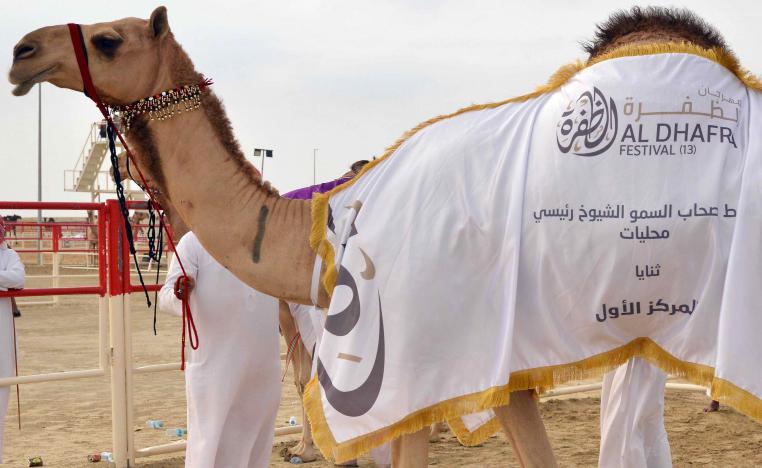 Prize money for camel racing, which was attended by a record number of camel owners, totalled AED16 million alone.