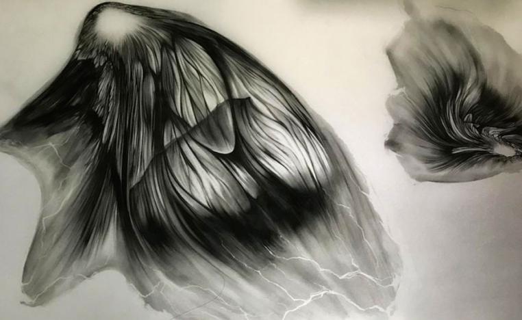 هويات فنية جديدة