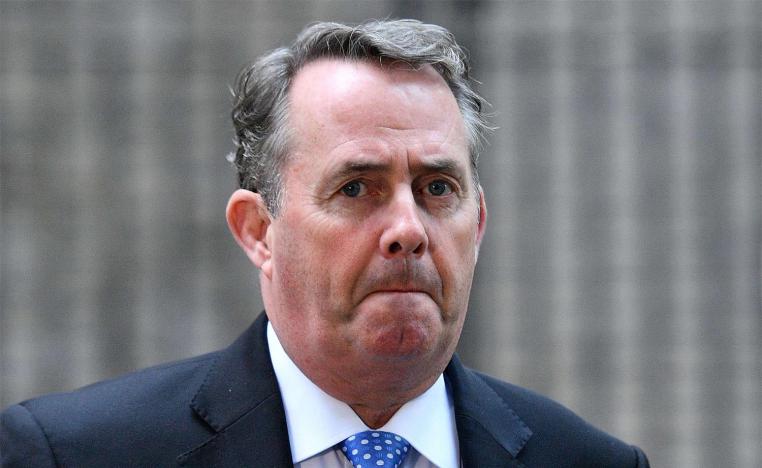 Former British defence secretary Liam Fox