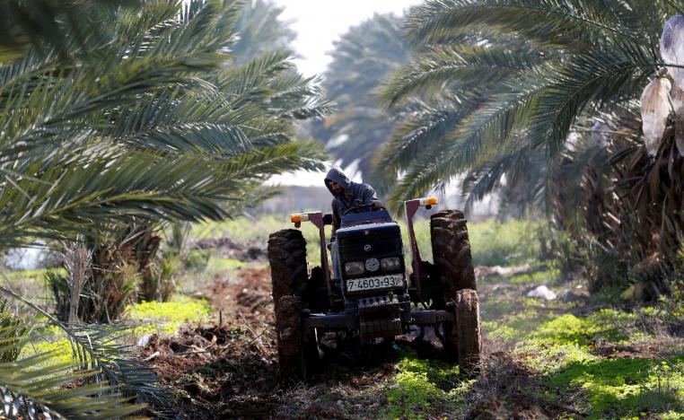 A Palestinian man uses a tractor to plow a field in the village of Al-Jiftlik near Jericho