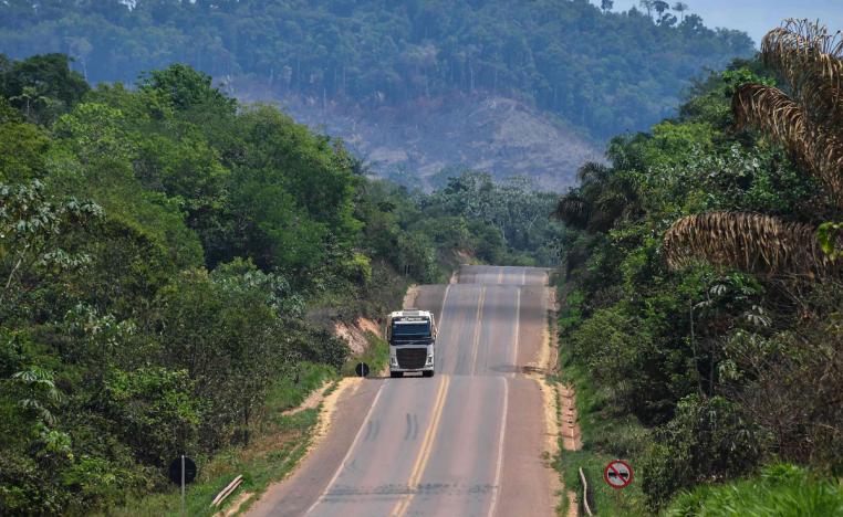 غابة الأمازون المطيرة في البرازيل