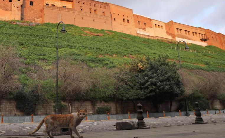 قط يتجول أمام قلعة أربيل المحاطة بشوارع فارغة من البشر