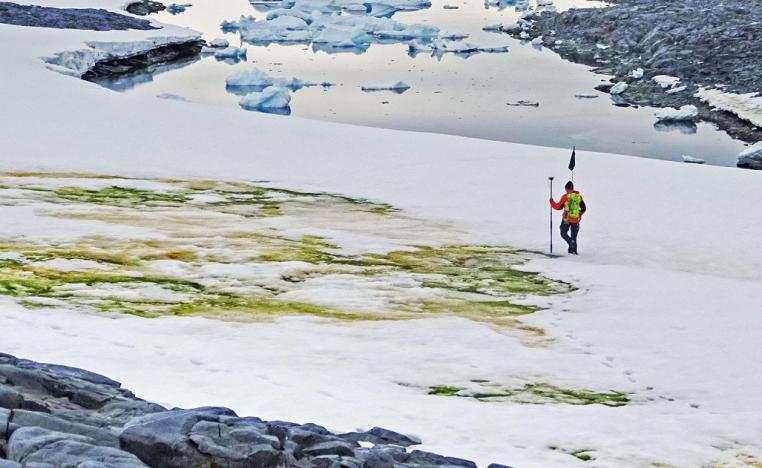 أنتاركتيكا 