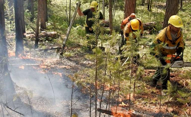 رجال الاطفاء يخمدون حرائق اشتعلت بفعل موجة حر في حزيران 2020 في سيبيريا