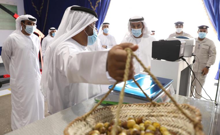 شرح مفصل