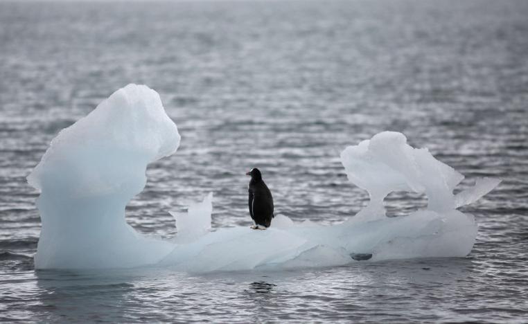 المحيط المتجمد الشمالي