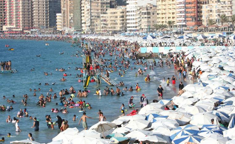 وجدت راحتي مع الحمير