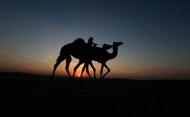 خطة مشتركة