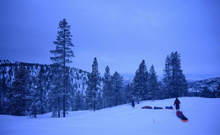 القارة القطبية الشمالية