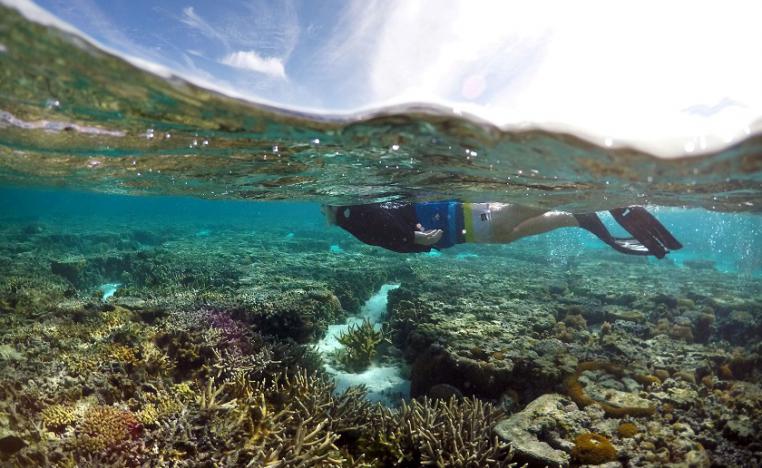 الحاجز المرجاني الكبير في أستراليا