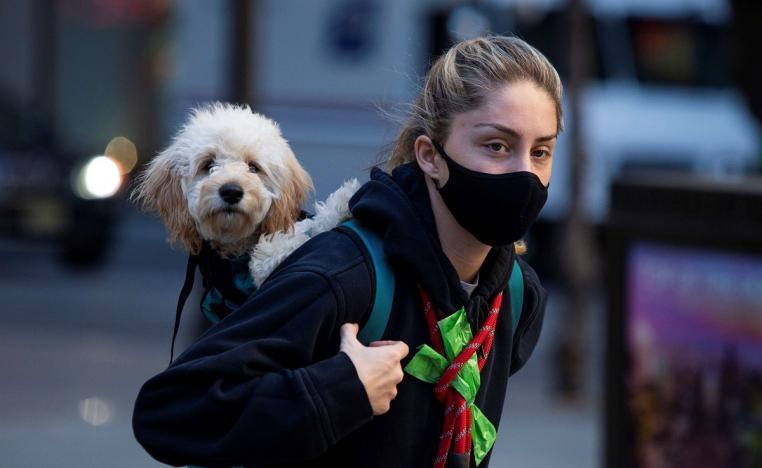 امرأة ترتدي كمامة أثناء حمل كلبها مع استمرار تفشي فيروس كورونا في نيويورك
