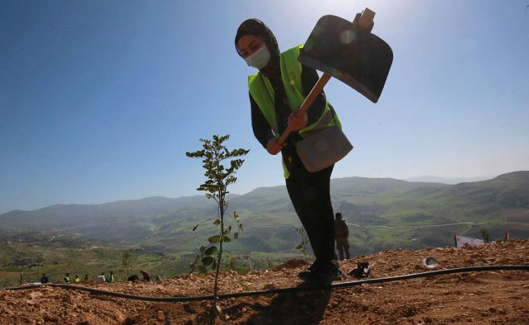 التشجير في الاردن