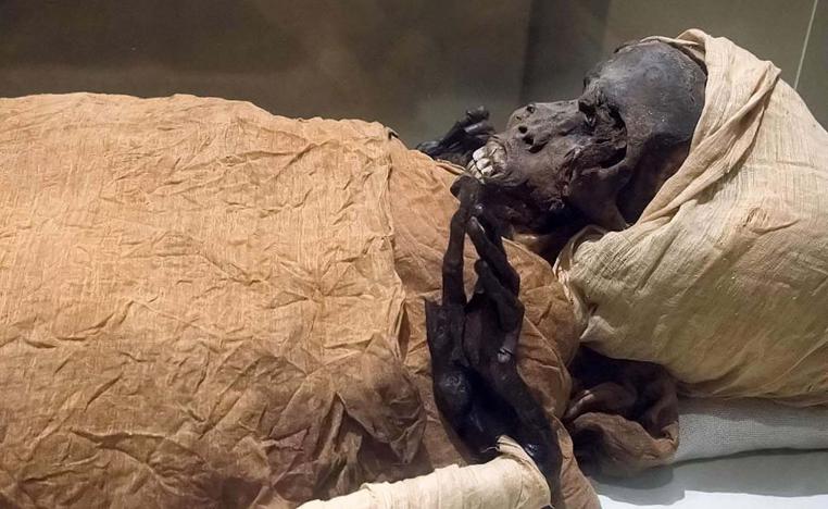 22 kings and queens are to be moved on Saturday to a new museum site