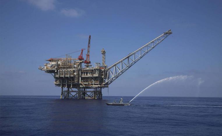 Delek Drilling is required to sell its 22% share of the offshore Tamar gas field by the end of this year 