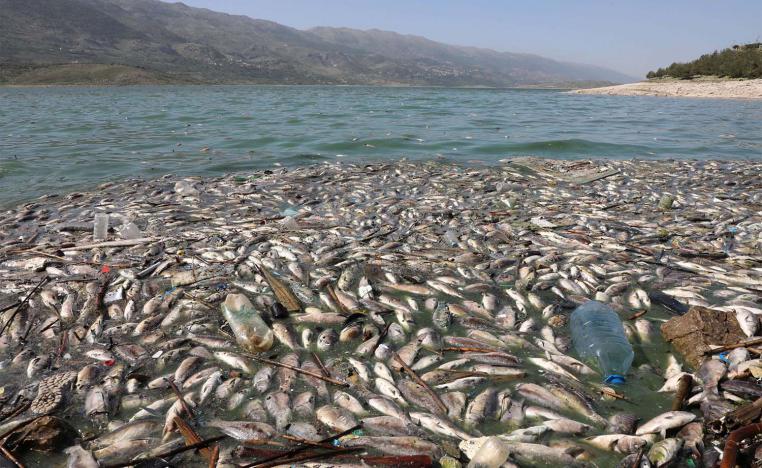 Qaraoun Lake