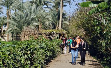 Badrashin is a rural area with unique history (www.visitbadrashin.com)