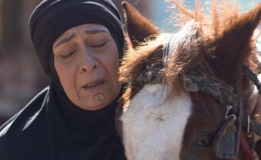 مسلسل "جلمود الصحارى"