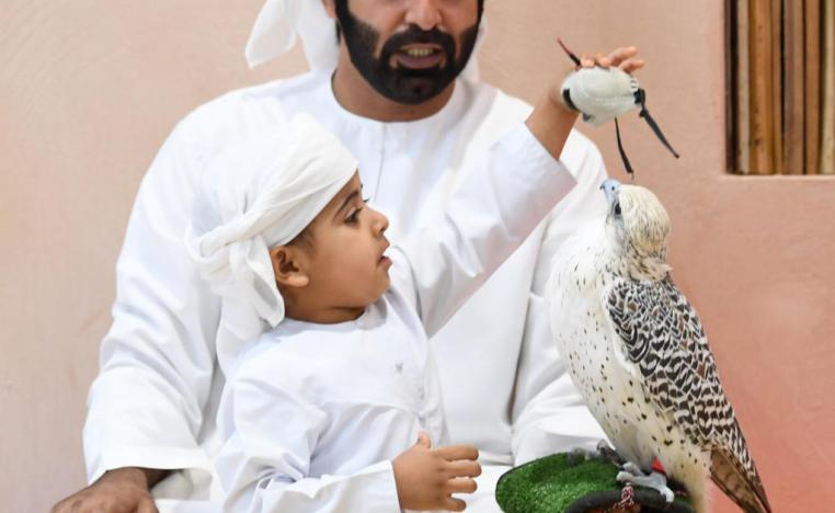 أجمل الصقور المكاثرة في الأسر