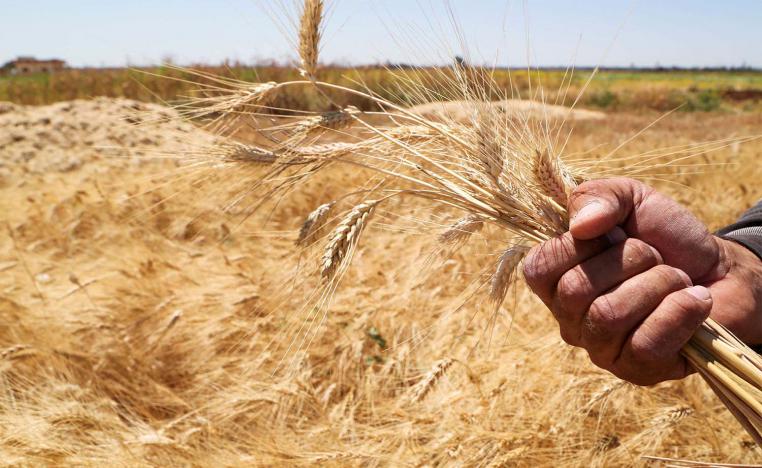 About 70% of wheat production still lies outside of government control 