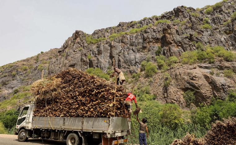 Deforestation exacerbated by fuel shortages in war-ton Yemen