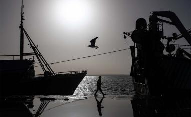 The EU is Morocco’s leading trade partner and the biggest foreign investor in the North African kingdom