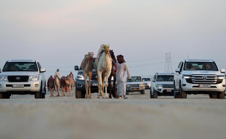 مهرجان الظفرة