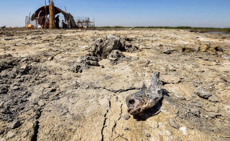 جفاف في أهوار الجبايش جنوب العراق