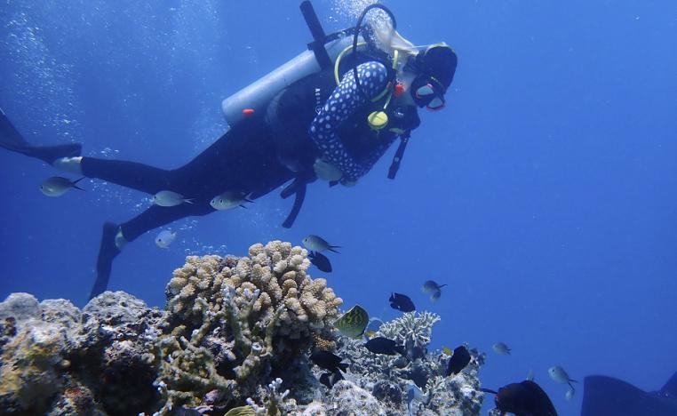 الحاجز المرجاني العظيم