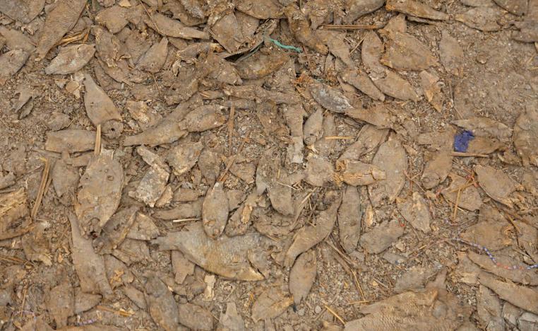 الجفاف يهدد مستقبل العراق