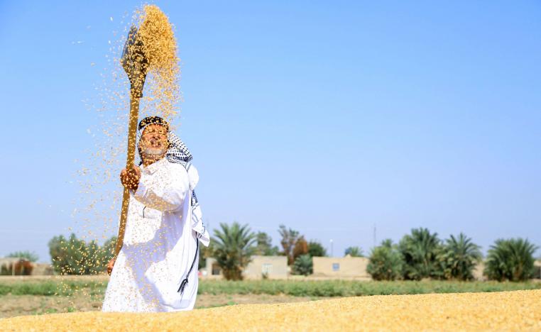 الجفاف والمناخ والحرب تحاصر الحنطة في العراق