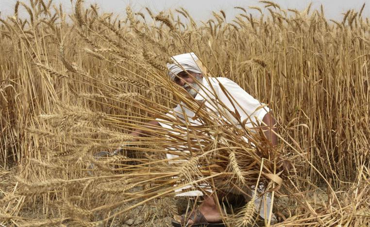 Egypt has agreed to buy half a million tonnes of wheat from India exempt from the export ban