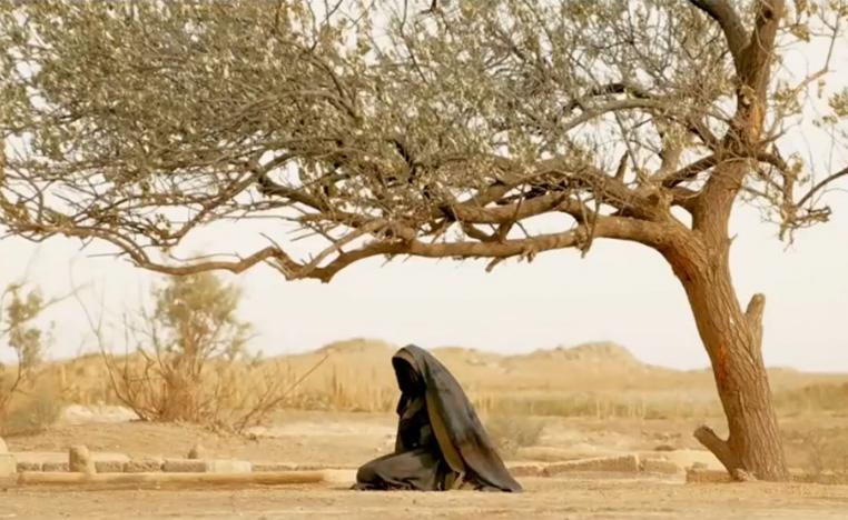 الفيلم يخوض في مسائل تاريخية مثيرة للكراهية
