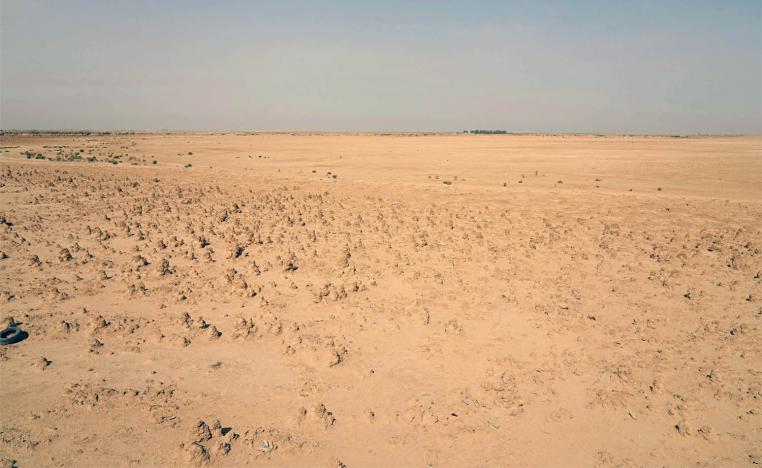 The drought has disrupted a delicate and interdependent ecosystem sustained by the rare desert oasis