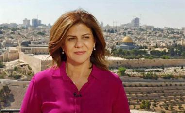 One single bullet hit Abu Akleh in the head and killed her instantly
