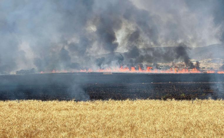 تونس شهدت في الفترة الأخيرة حرائق طالت محاصيل زراعية