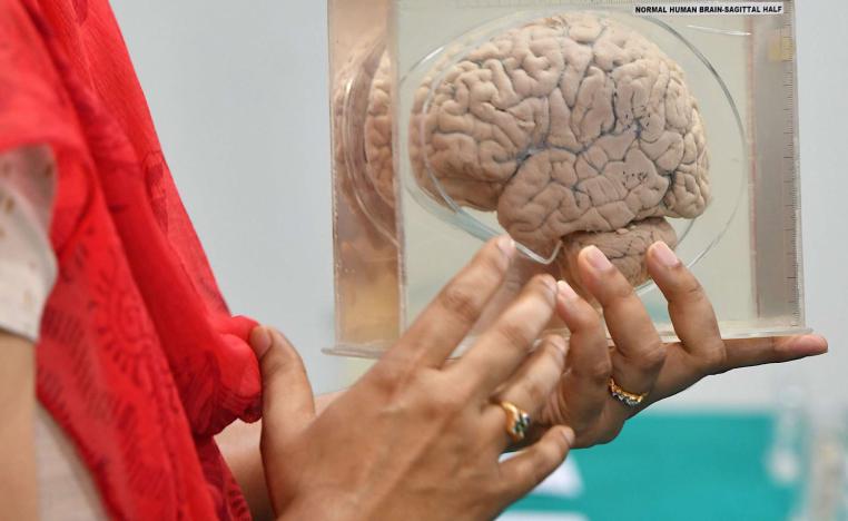 'كيف تصبح العقول واعية'؟