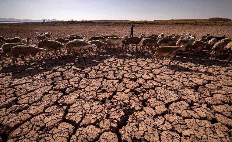 Rain-dependent Morocco is facing it worst drought in at least four decades