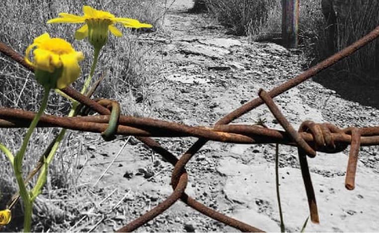  'الطريق إلى عين حارود'