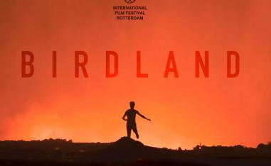 Birdland
