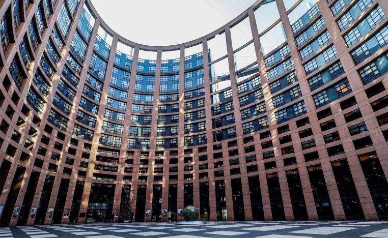 The Council rejects the double standards that characterizes the European Parliament's resolution